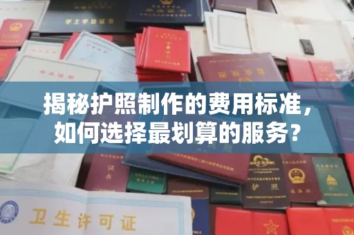 沙湾揭秘护照制作的费用标准，如何选择最划算的服务？
